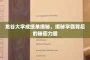 龙谷学霸养成记，揭秘背后的神秘动力源泉