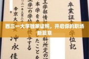 西三一大学证照在手，职场巅峰等你驾驭