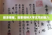 丽泽之光，揭秘独特大学文凭的非凡魅力