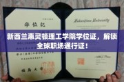 新西兰惠灵顿理工国际学位，助你职场全球畅行无阻！