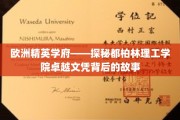 揭开都柏林理工学院精英教育之谜，卓越文凭背后的非凡历程