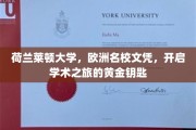 荷兰莱顿大学，解锁欧洲名校之旅，成就学术梦想的黄金凭证