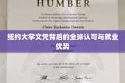 国际通行证，纽约大学文凭的全球就业魅力