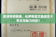 欧洲教育新地标，杜伊斯堡艾森综大文凭，全球学子趋之若鹜的秘密？