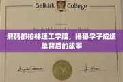 都柏林理工学院揭秘，学子成绩单背后的不凡历程