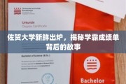 揭秘佐贺大学学霸背后的成长轨迹，成绩单背后的惊人故事