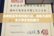 解锁北欧顶尖教育之门，丹麦技术大学文凭的独特魅力