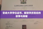宫崎大学证书之谜，揭秘学位背后的辉煌历程