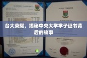 台大荣耀背后的中央大学学子证书传奇